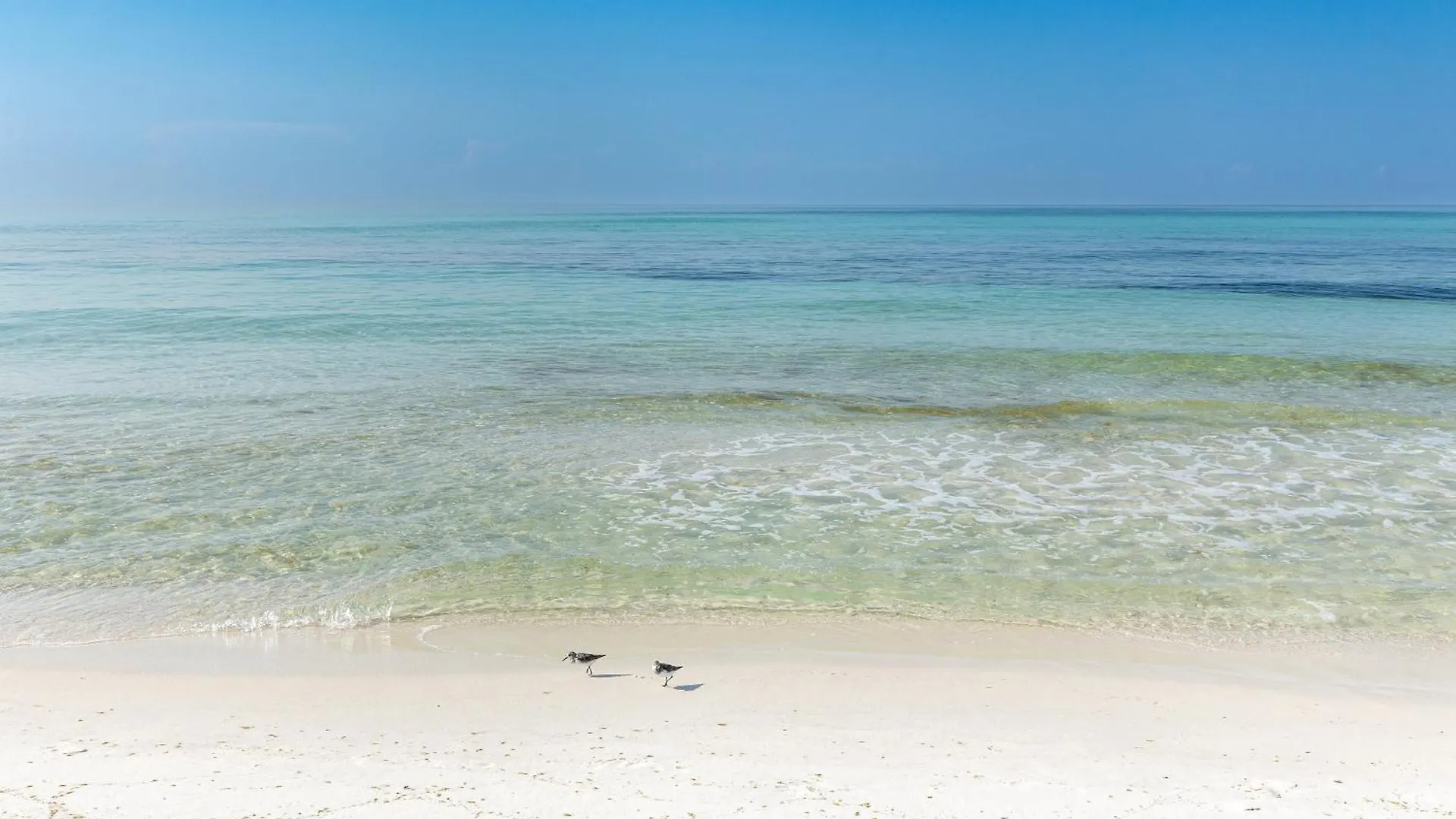 Apartment Sandpiper Cove 1096- By Holiday Isle Properties Destin